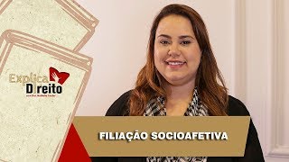 Explica Direito Filiação Socioafetiva  2019 [upl. by Kurr]