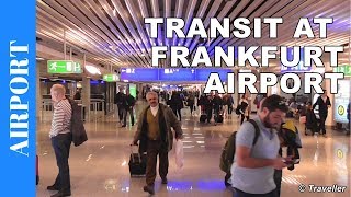 TRANSIT WALK AT FRANKFURT Airport FRA Terminal 1  Connection Flight Transfer Arriving amp Departing [upl. by Leimaj333]